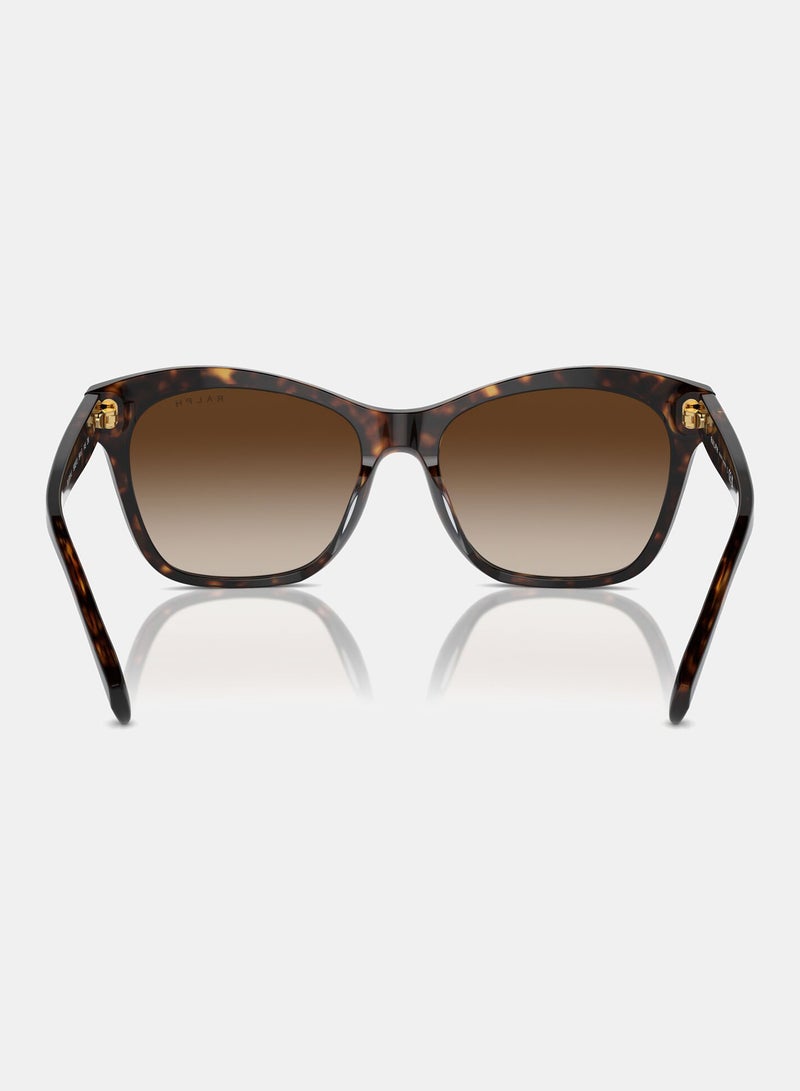 رالف لورين نظارة شمسية بإطار كامل شكل عيون القطة 5310U, 56, 5003, 13 - Image 3